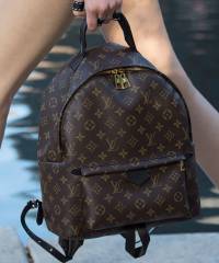 Рюкзак Louis Vuitton Palm Springs Backpack Large